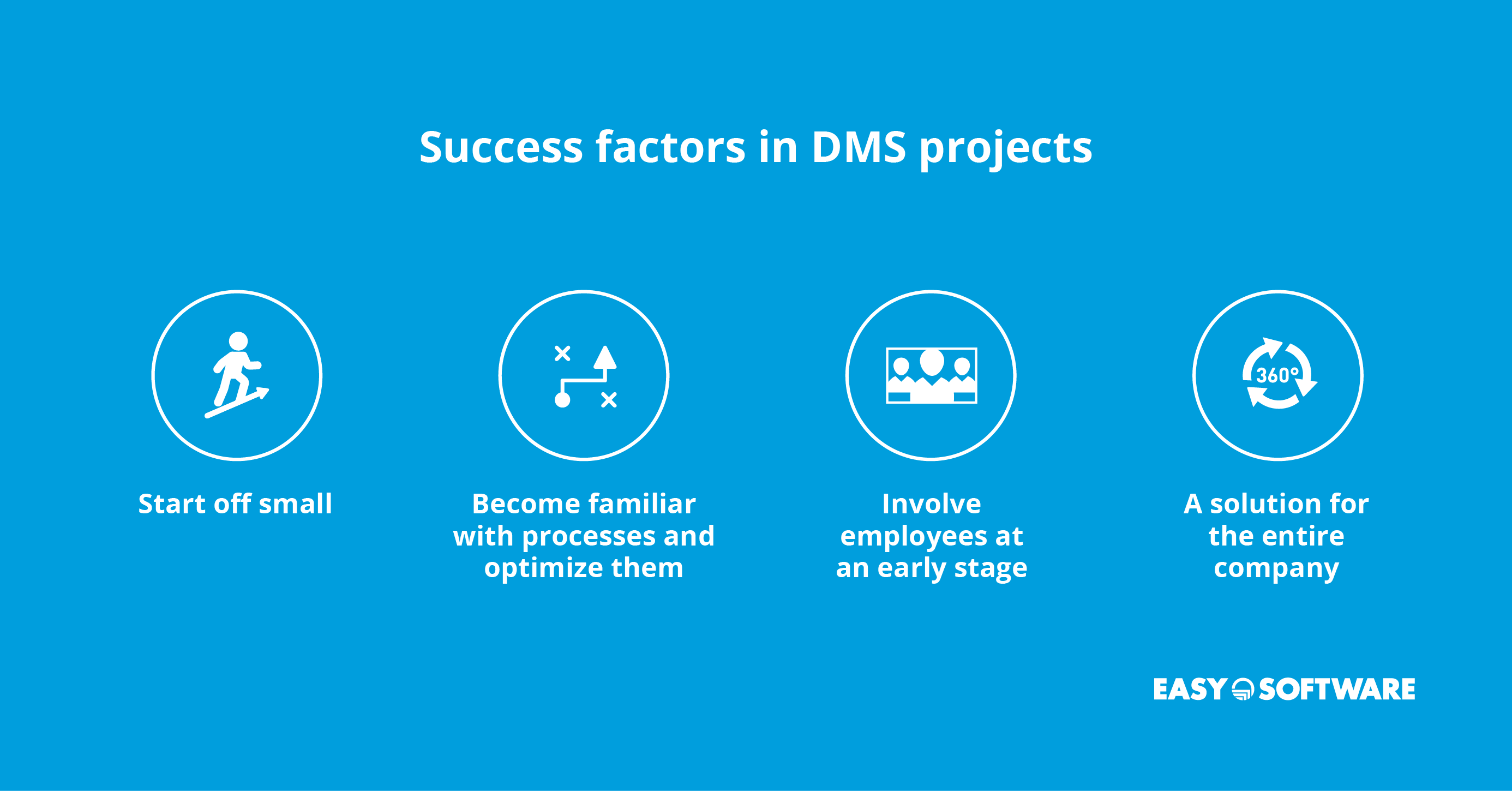 success factors in DMS projects