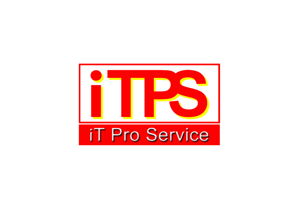iT Pro Service